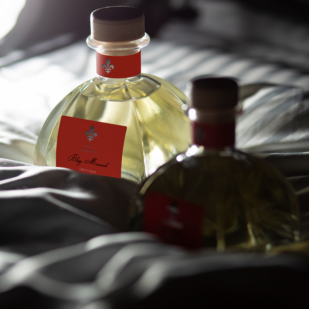 Aroma diffuser Blaze Monarch, 250 ml