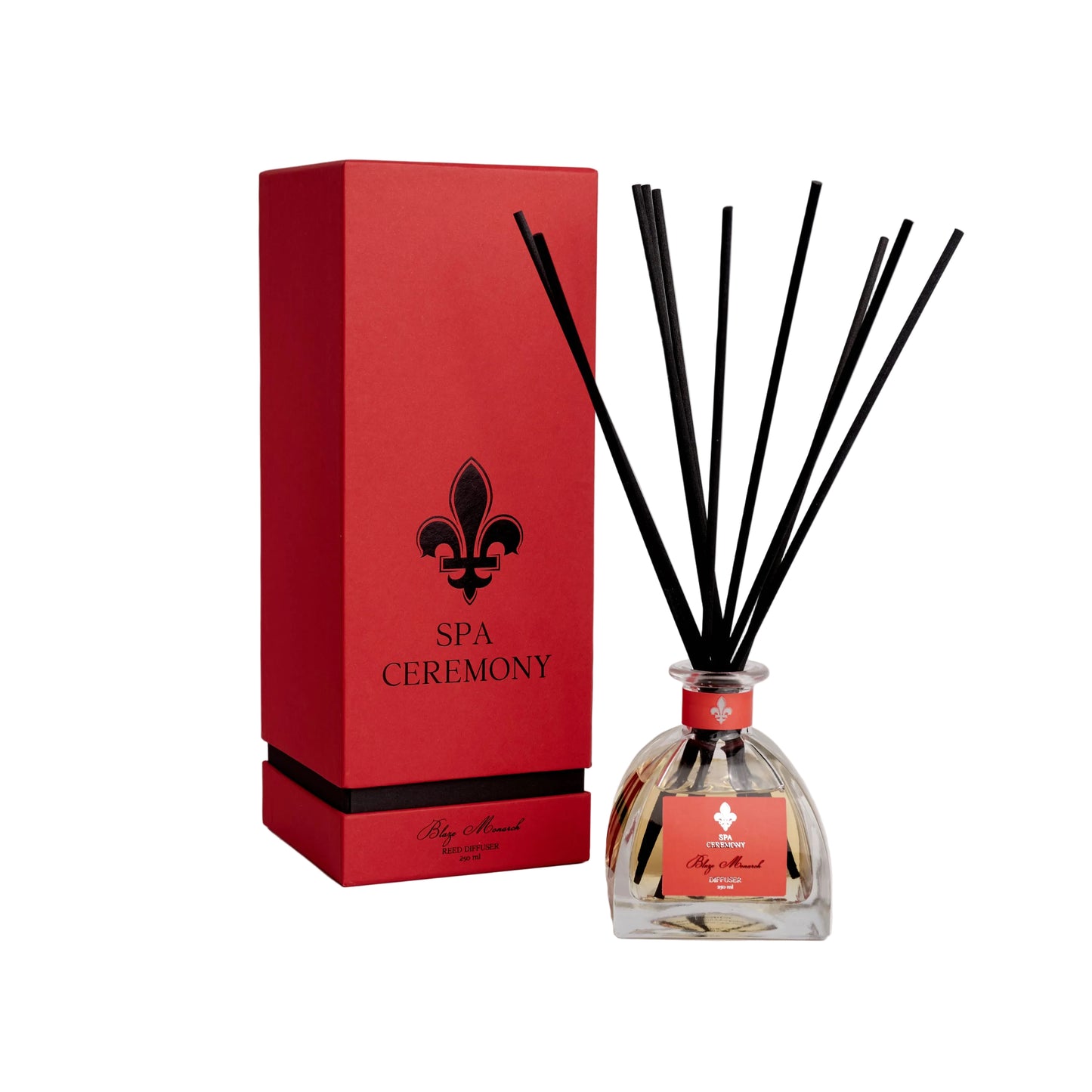 Aroma diffuser Blaze Monarch, 150 ml