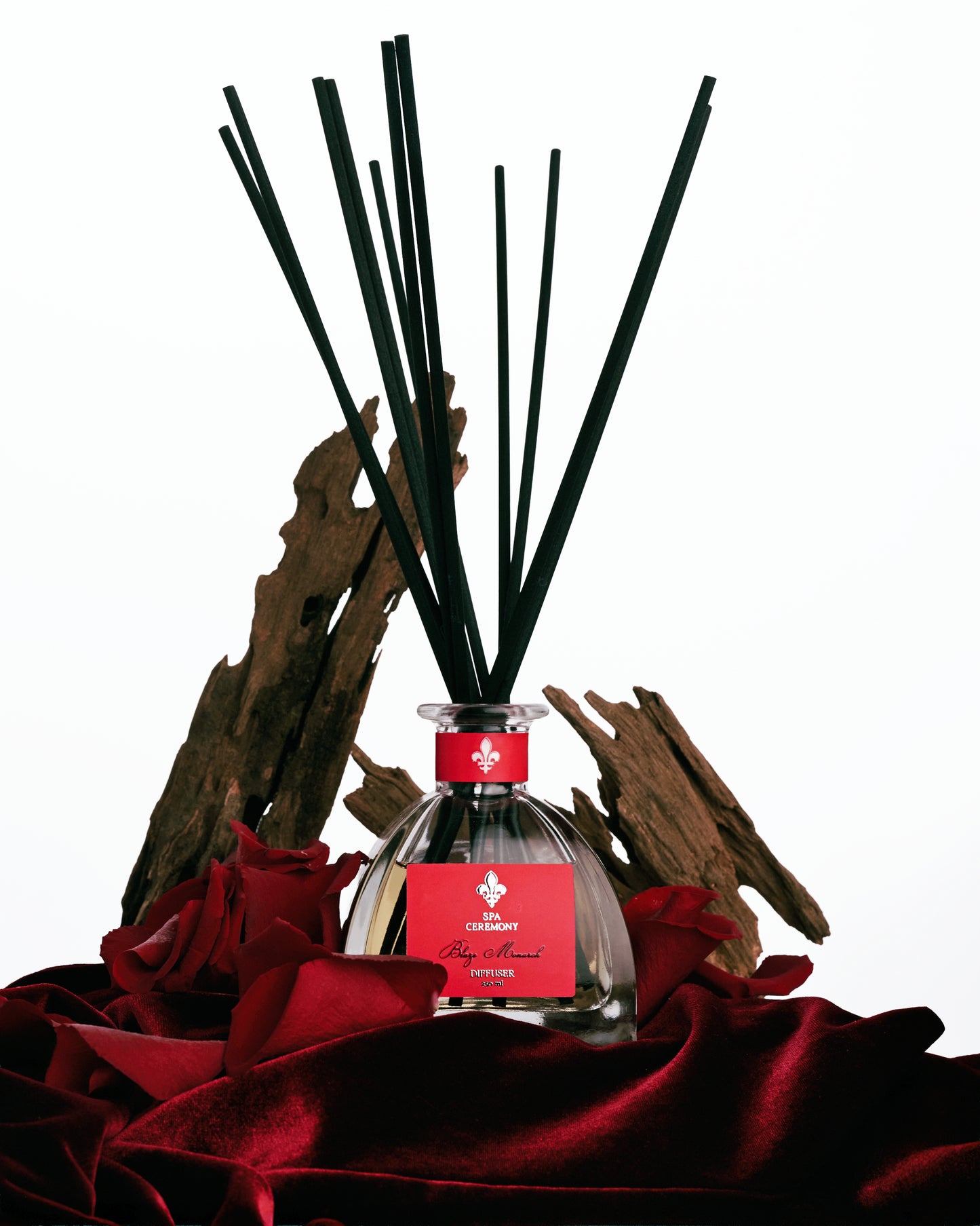 Aroma diffuser Blaze Monarch, 250 ml